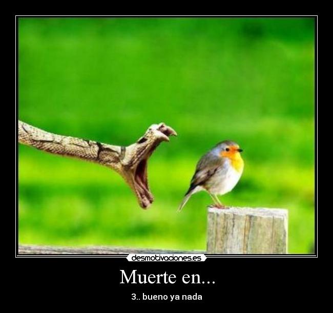 Muerte en... - 3.. bueno ya nada