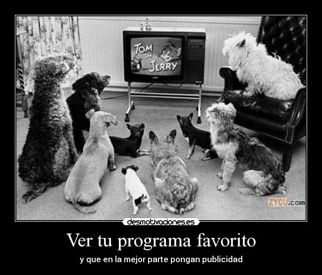 carteles perros viendo tom jerry desmotivaciones