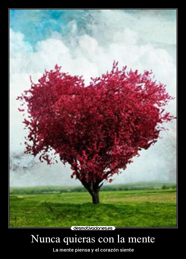 Nunca quieras con la mente - La mente piensa y el corazón siente