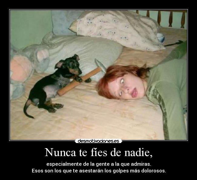 Nunca te fíes de nadie, - especialmente de la gente a la que admiras.
Esos son los que te asestarán los golpes más dolorosos.