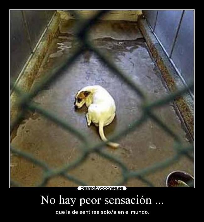 No hay peor sensación ... -