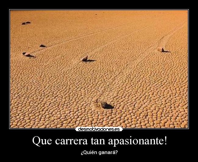 Que carrera tan apasionante! - ¿Quién ganará?