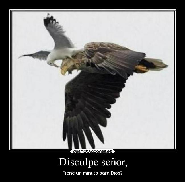 Disculpe señor, - 