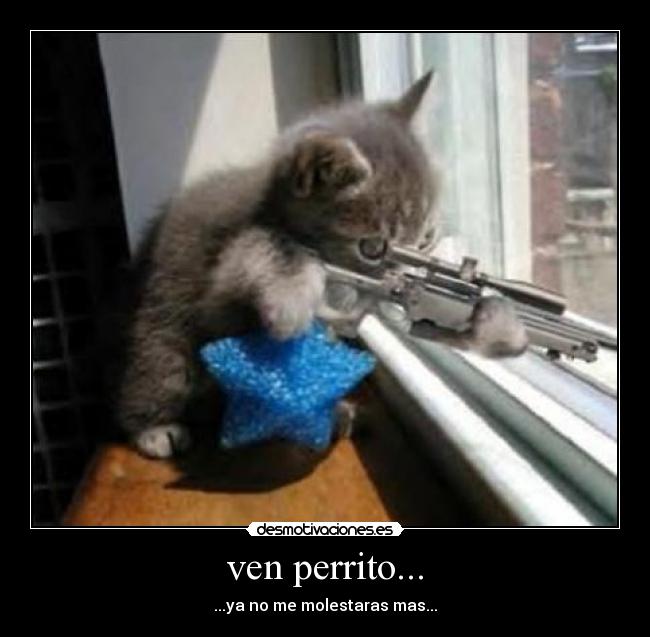 ven perrito... -