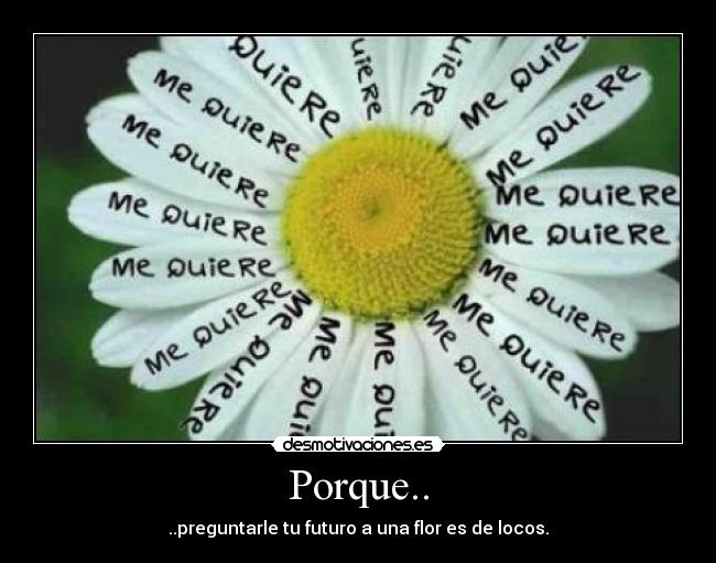 Porque.. - ..preguntarle tu futuro a una flor es de locos.