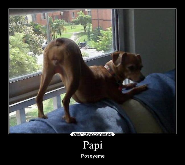 carteles papi poseyeme desmotivaciones