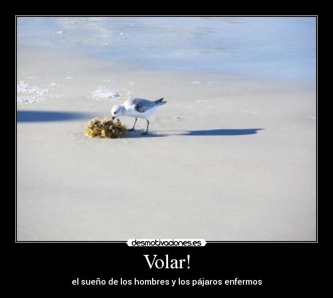 Volar! -