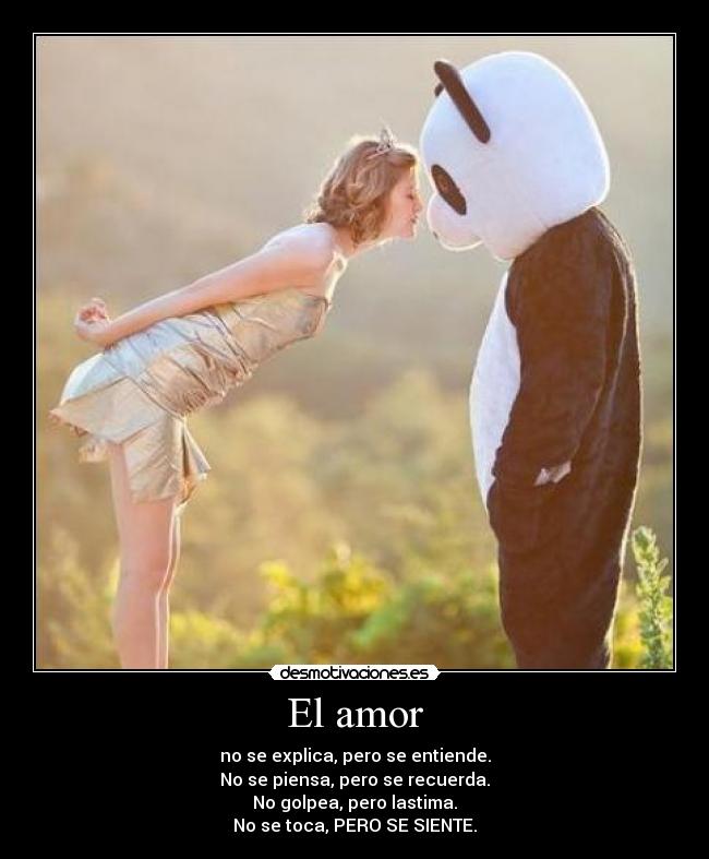 El amor - 