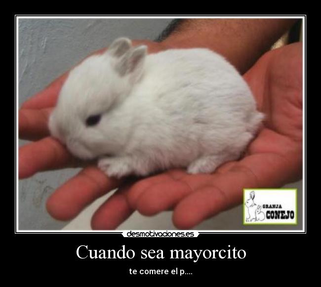Cuando sea mayorcito - te comere el p....