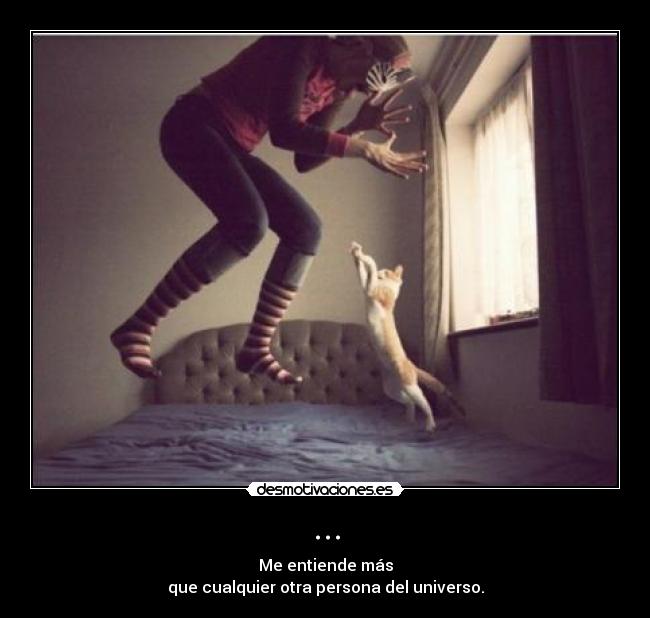 ... - Me entiende más
que cualquier otra persona del universo.