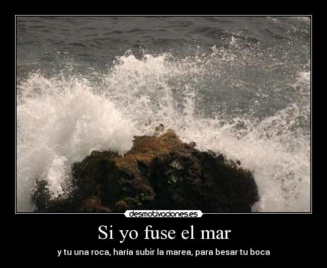 carteles nadie desmotivaciones