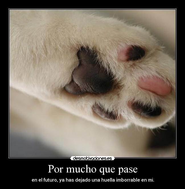 Por mucho que pase - en el futuro, ya has dejado una huella imborrable en mi.