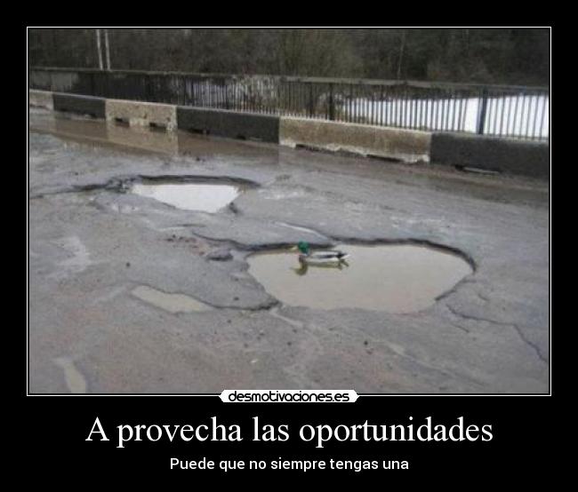 A provecha las oportunidades - 