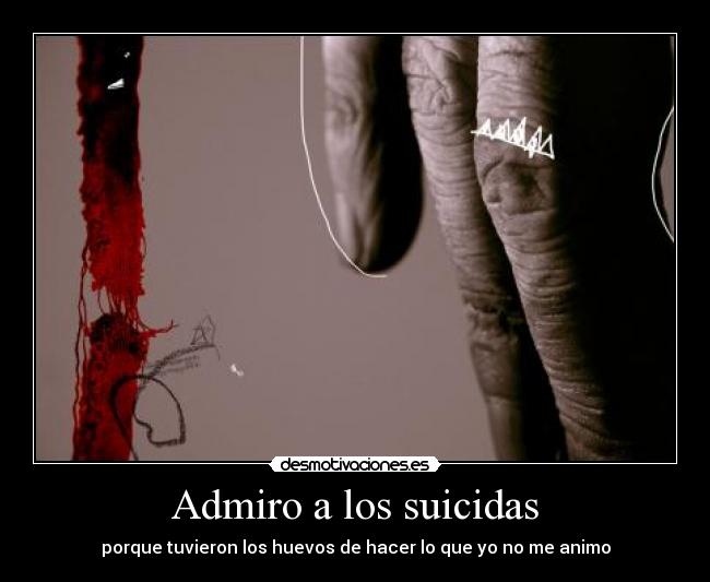 Admiro a los suicidas - 