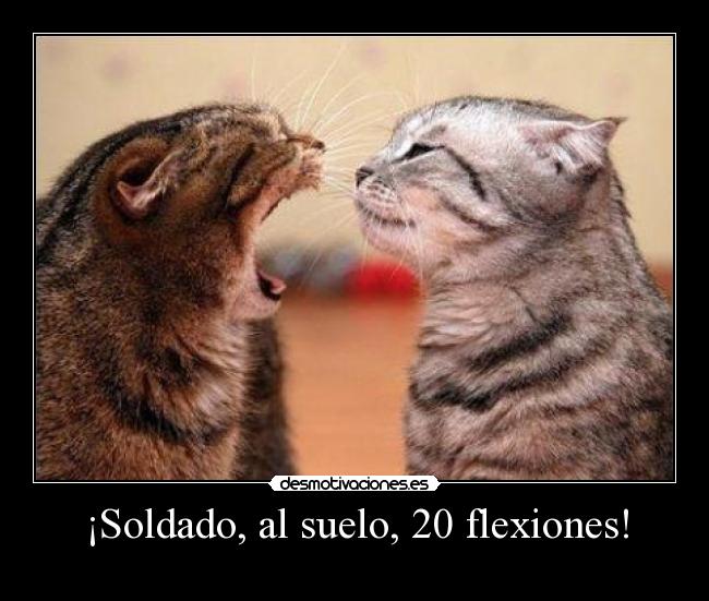 ¡Soldado, al suelo, 20 flexiones! - 