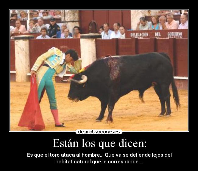 Están los que dicen: - Es que el toro ataca al hombre... Que va se defiende lejos del
hábitat natural que le corresponde....