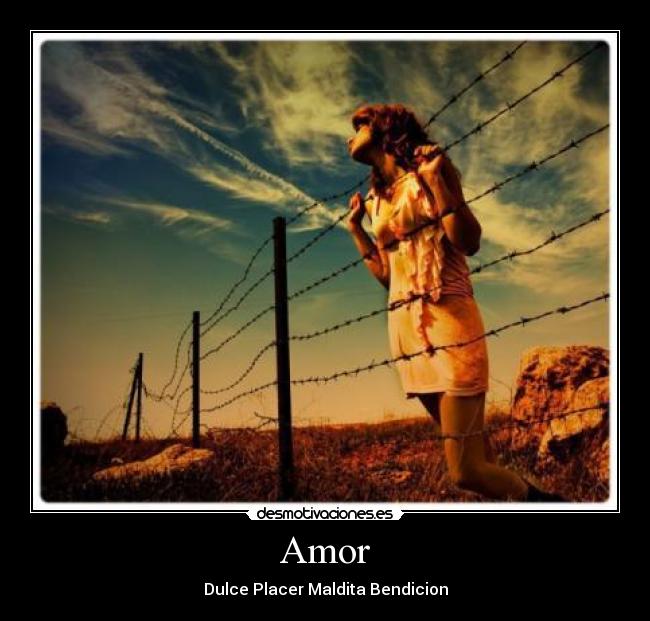 Amor -
