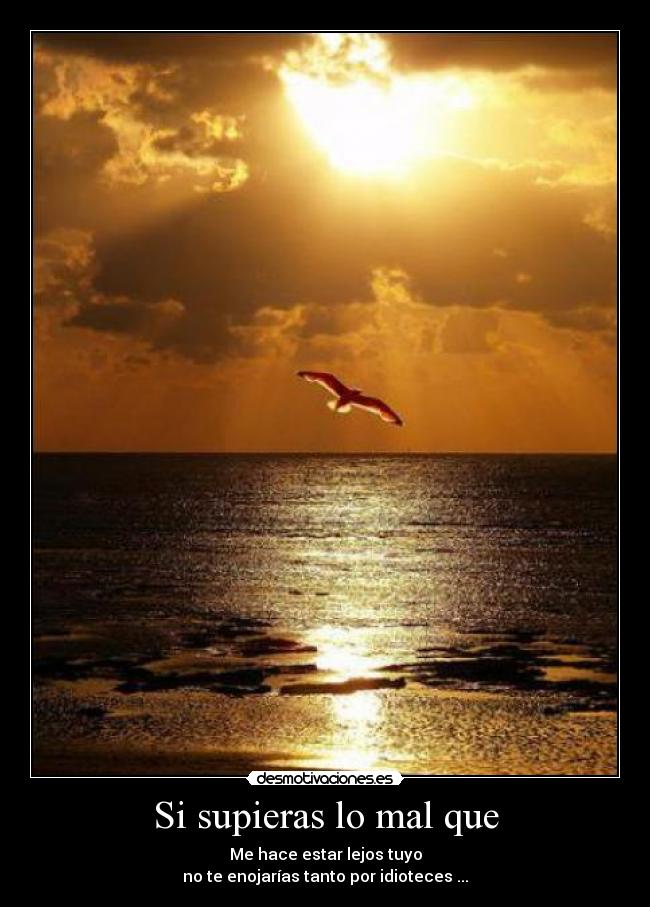 carteles ivis barrios desmotivaciones