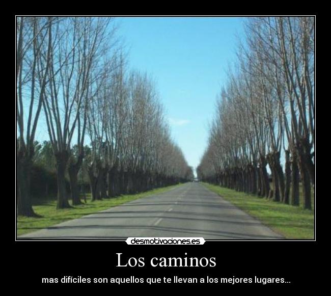 Los caminos - 