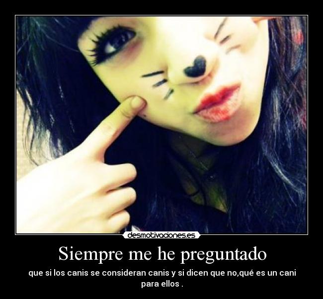 carteles mis dudas existenciales sobre los canis que son las personas con las que convivo kittag desmotivaciones