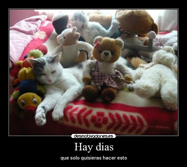 Hay dias -
