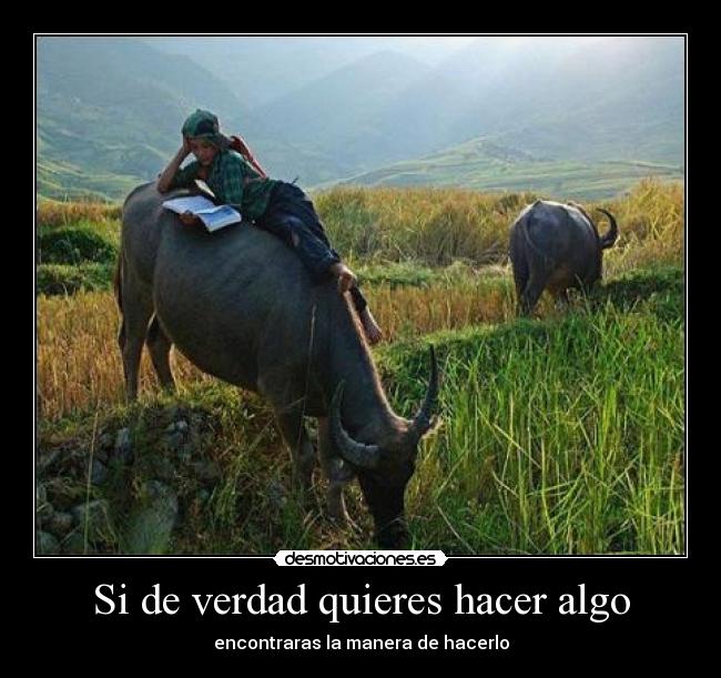 Si de verdad quieres hacer algo - 