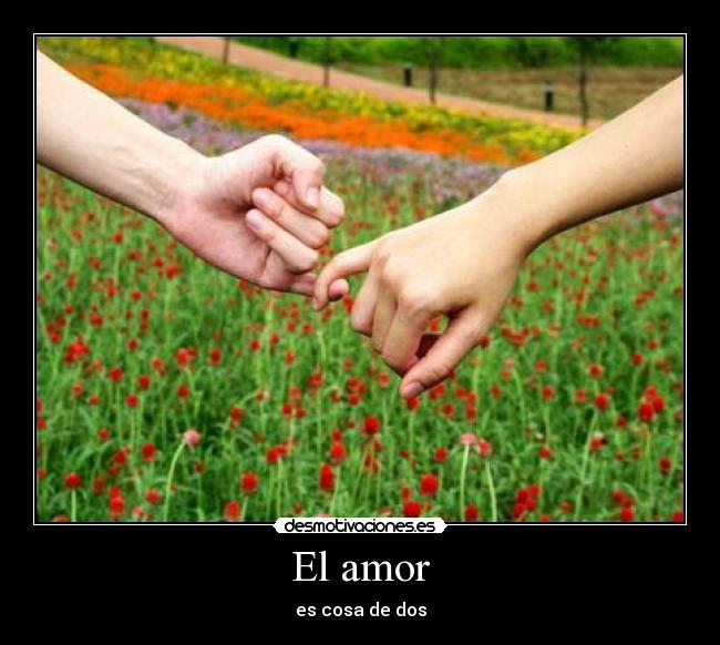 El amor - 