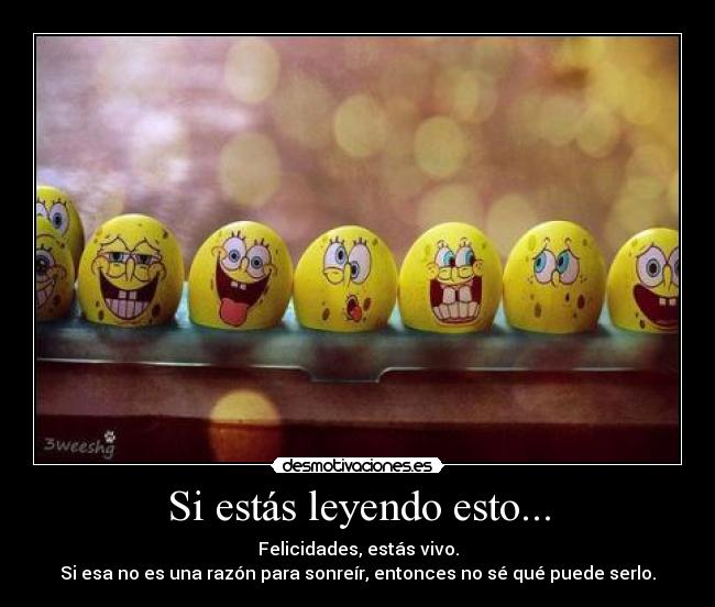 Si estás leyendo esto... - 