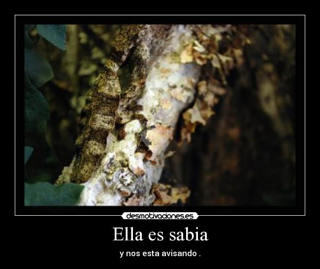 Ella es sabia - 