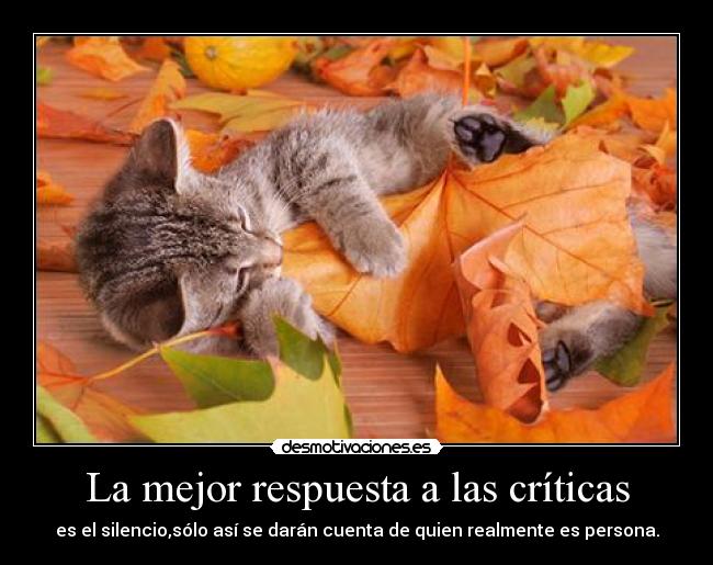 La mejor respuesta a las críticas -