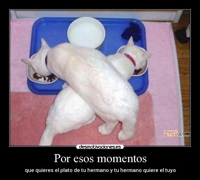 Por esos momentos -