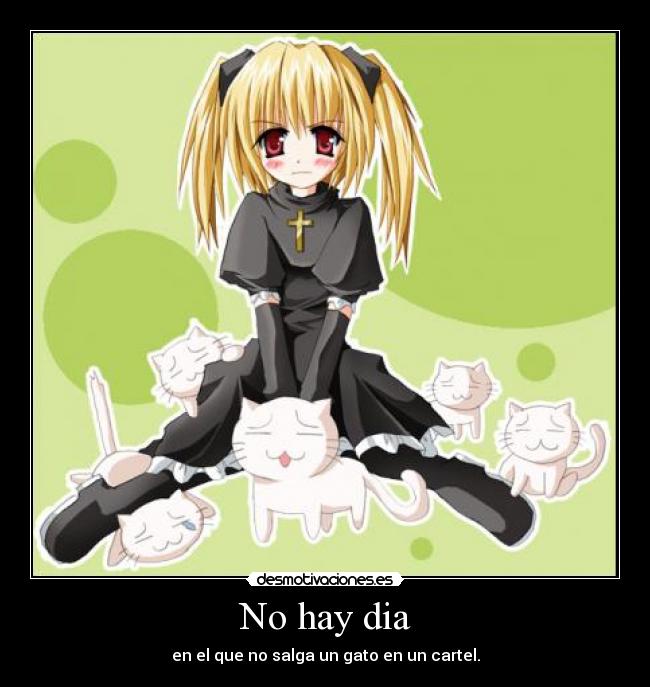 No hay dia - en el que no salga un gato en un cartel.