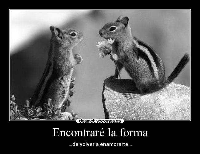 carteles dreadk elclanviral bollicao hipsalami clanbipolar clubkumo yes dios existe 2do video youtu desmotivaciones