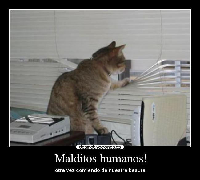 Malditos humanos! - otra vez comiendo de nuestra basura