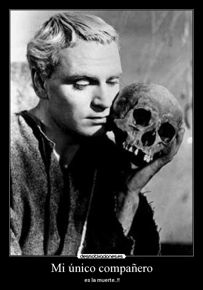 Mi único compañero -