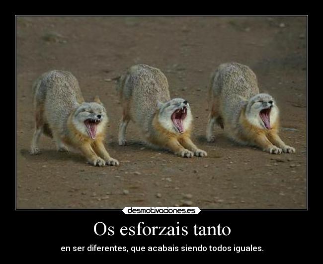 Os esforzais tanto - en ser diferentes, que acabais siendo todos iguales.