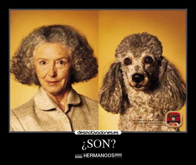 ¿SON? - ¡¡¡¡¡¡ HERMANOOS!!!!!!