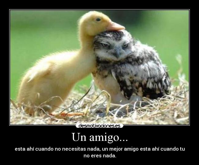 Un amigo... - esta ahí cuando no necesitas nada, un mejor amigo esta ahí cuando tu no eres nada.