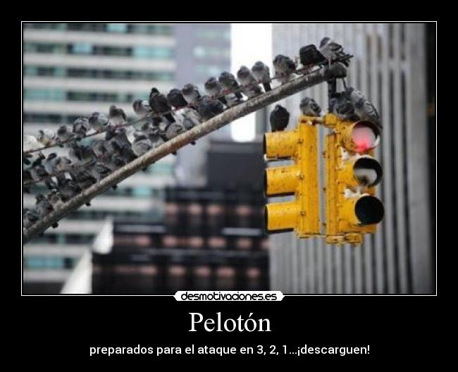 Pelotón - 