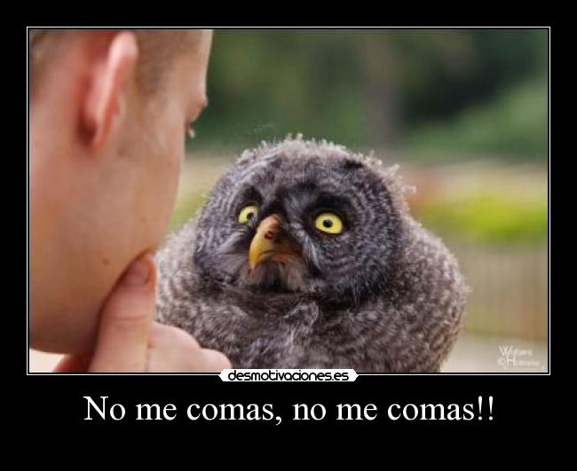 No me comas, no me comas!! - 