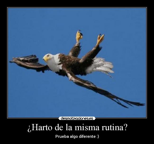 ¿Harto de la misma rutina? - 