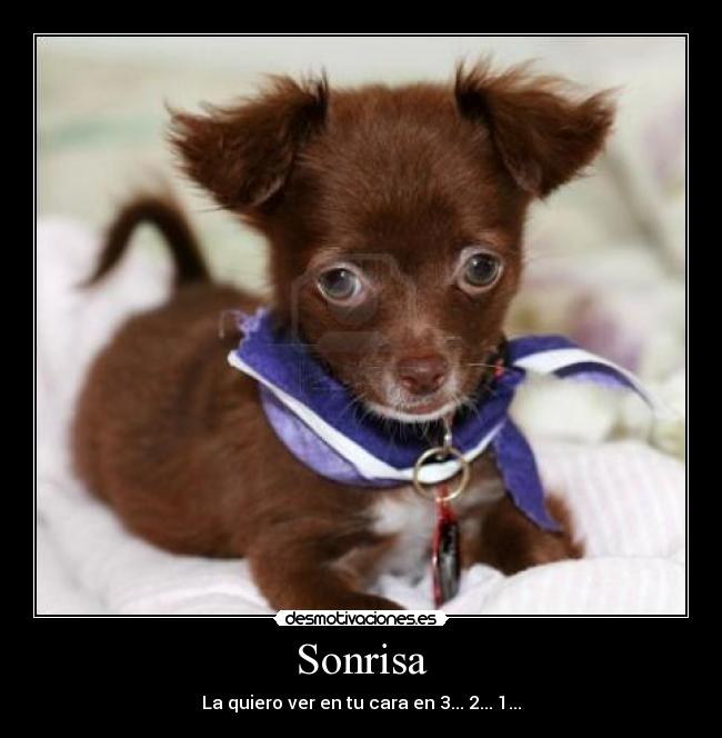 Sonrisa -