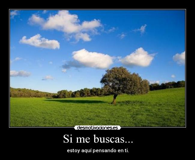 Si me buscas... - estoy aquí pensando en ti.