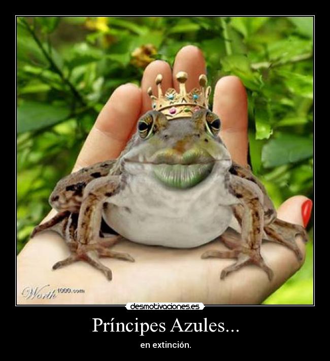 Príncipes Azules... -