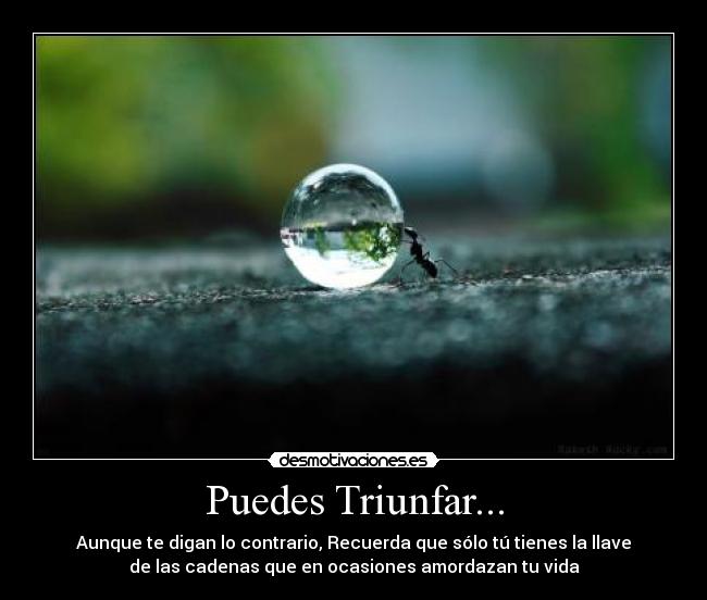 Puedes Triunfar... - Aunque te digan lo contrario, Recuerda que sólo tú tienes la llave
de las cadenas que en ocasiones amordazan tu vida