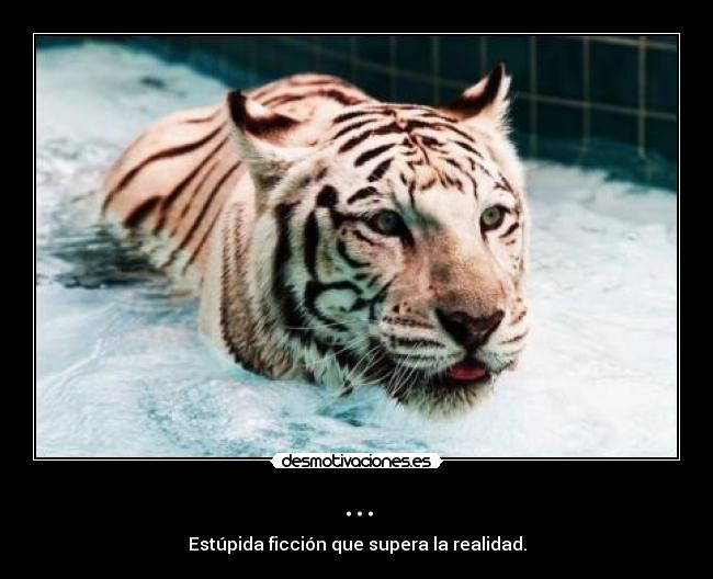 ... - Estúpida ficción que supera la realidad.