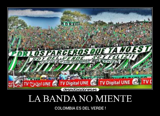 carteles sdvsf desmotivaciones