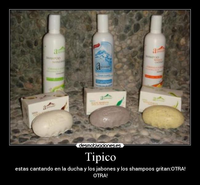 Tipico - 
