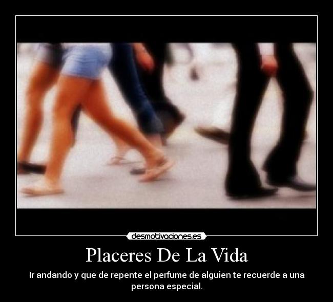 Placeres De La Vida -