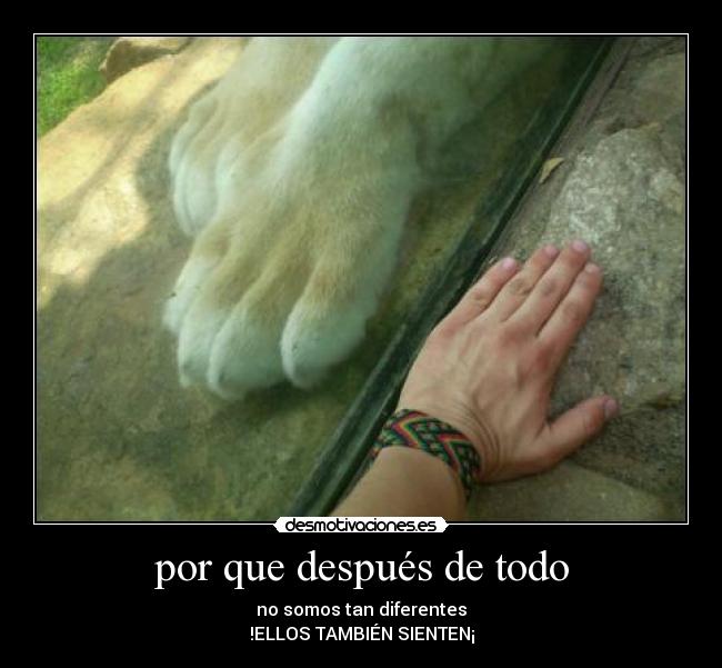 por que después de todo - no somos tan diferentes
!ELLOS TAMBIÉN SIENTEN¡